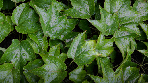 910210 (a): :2560x1440